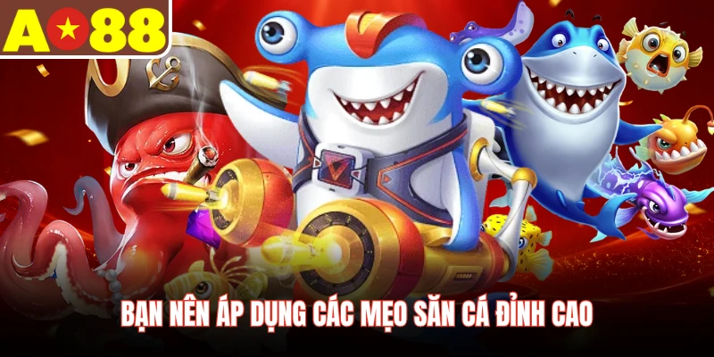 Bạn nên áp dụng các mẹo săn cá đỉnh cao