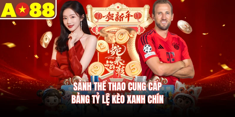 Sảnh thể thao cung cấp bảng tỷ lệ kèo xanh chín